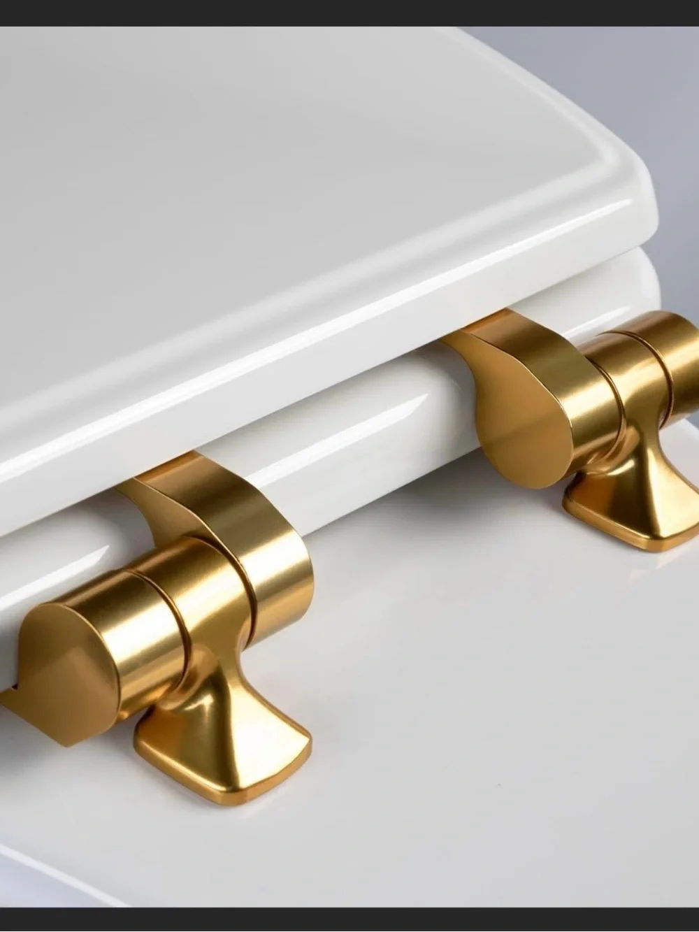 Mayfair toilet seat brushed gold hinges, elongated